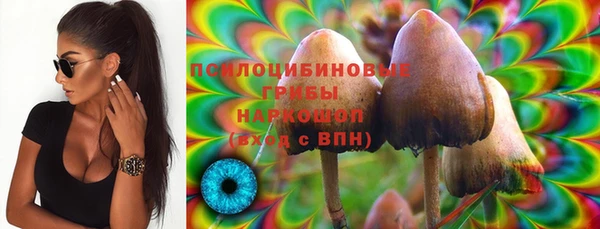 каннабис Гусиноозёрск