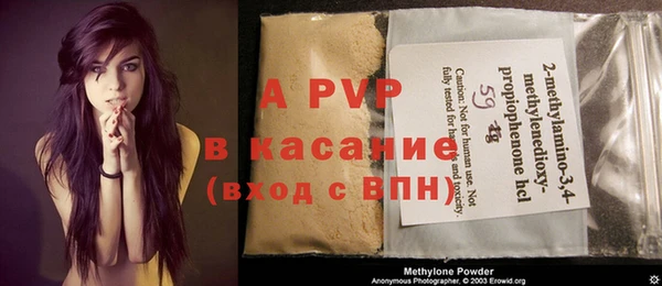 сатива Горняк