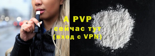 сатива Горняк