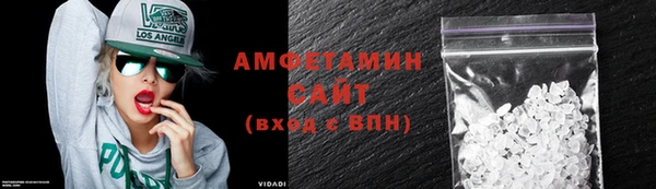 сатива Горняк