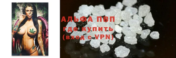 сатива Горняк