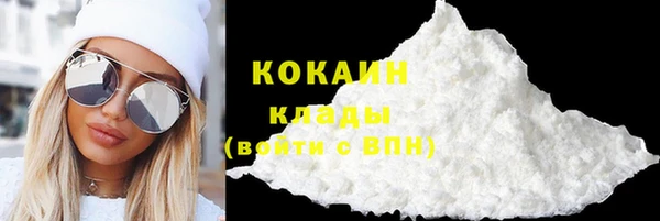 сатива Горняк