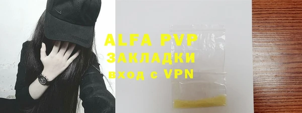 сатива Горняк
