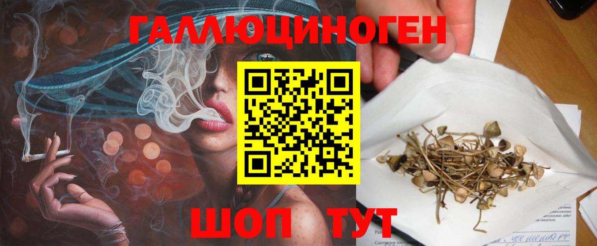 Галлюциногенные грибы мицелий Калач-на-Дону